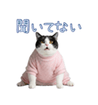 社会不適合 ハチワレ猫（個別スタンプ：36）