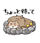 もちゃこともちゃゆ 4（個別スタンプ：19）