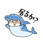 もちゃこともちゃゆ 4（個別スタンプ：31）