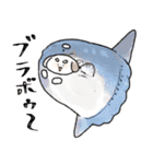 もちゃこともちゃゆ 4（個別スタンプ：38）