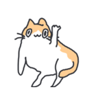 おかしいネコ3（個別スタンプ：1）