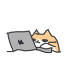 おかしいネコ3（個別スタンプ：14）