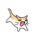 おかしいネコ3（個別スタンプ：19）