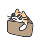 おかしいネコ3（個別スタンプ：25）