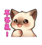 シャム猫 - 日常生活ステッカー1（個別スタンプ：3）