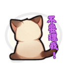 シャム猫 - 日常生活ステッカー1（個別スタンプ：4）