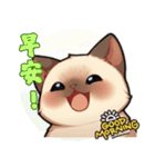 シャム猫 - 日常生活ステッカー1（個別スタンプ：14）