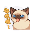 シャム猫 - 日常生活ステッカー1（個別スタンプ：16）