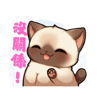 シャム猫 - 日常生活ステッカー1（個別スタンプ：20）