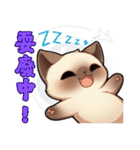 シャム猫 - 日常生活ステッカー1（個別スタンプ：25）