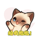 シャム猫 - 日常生活ステッカー1（個別スタンプ：32）