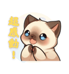 シャム猫 - 日常生活ステッカー1（個別スタンプ：33）