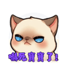 シャム猫 - 日常生活ステッカー1（個別スタンプ：37）