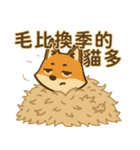 ツッコミ狐・星（スター）の日常（個別スタンプ：31）