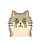 ねこスタンプ_02（個別スタンプ：7）