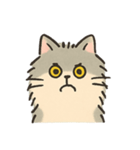 ねこスタンプ_02（個別スタンプ：11）