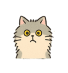 ねこスタンプ_02（個別スタンプ：12）
