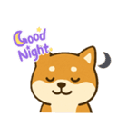 柴犬 コテツの日常会話2（個別スタンプ：3）