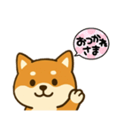 柴犬 コテツの日常会話2（個別スタンプ：4）