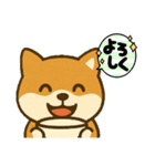 柴犬 コテツの日常会話2（個別スタンプ：5）
