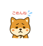 柴犬 コテツの日常会話2（個別スタンプ：8）