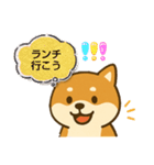 柴犬 コテツの日常会話2（個別スタンプ：9）