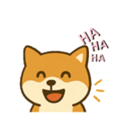 柴犬 コテツの日常会話2（個別スタンプ：14）