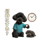 トイプのクロスケ君／日常使えるスタンプ（個別スタンプ：9）