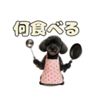 トイプのクロスケ君／日常使えるスタンプ（個別スタンプ：23）