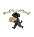 トイプのクロスケ君／日常使えるスタンプ（個別スタンプ：24）