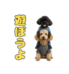トイプのクロスケ君／日常使えるスタンプ（個別スタンプ：40）