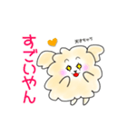 関西弁トイプードルあるあるスタンプ（個別スタンプ：12）