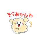 関西弁トイプードルあるあるスタンプ（個別スタンプ：16）