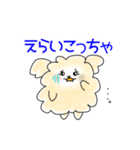 関西弁トイプードルあるあるスタンプ（個別スタンプ：20）
