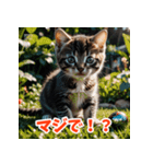 かわいい子猫の毎日がいっぱい！（個別スタンプ：1）