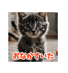 かわいい子猫の毎日がいっぱい！（個別スタンプ：2）
