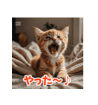 かわいい子猫の毎日がいっぱい！（個別スタンプ：3）