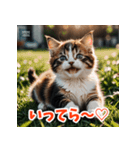 かわいい子猫の毎日がいっぱい！（個別スタンプ：5）
