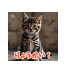 かわいい子猫の毎日がいっぱい！（個別スタンプ：6）