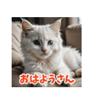 かわいい子猫の毎日がいっぱい！（個別スタンプ：7）