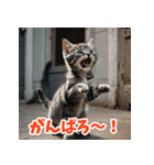 かわいい子猫の毎日がいっぱい！（個別スタンプ：9）