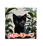 かわいい子猫の毎日がいっぱい！（個別スタンプ：10）