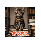 かわいい子猫の毎日がいっぱい！（個別スタンプ：11）