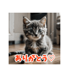 かわいい子猫の毎日がいっぱい！（個別スタンプ：12）