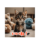 かわいい子猫の毎日がいっぱい！（個別スタンプ：13）