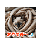 かわいい子猫の毎日がいっぱい！（個別スタンプ：14）