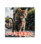 かわいい子猫の毎日がいっぱい！（個別スタンプ：16）