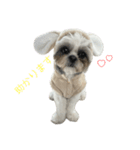 おこげと笑吉 5（個別スタンプ：1）