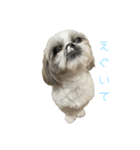 おこげと笑吉 5（個別スタンプ：2）