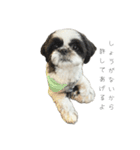 おこげと笑吉 5（個別スタンプ：3）